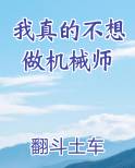 我真的不想做机械师小说