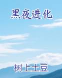 黑夜进化