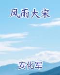 风雨大宋