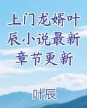 上门龙婿叶辰小说最新章节更新下载