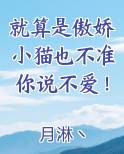 傲娇的猫儿