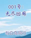 001号：无尽回廊