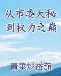 从市委大秘到权力之巅全文免费阅读