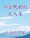 四合院的红火人生