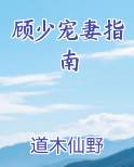 顾少宠妻超甜