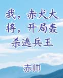 我，赤犬大将，开局轰杀逃兵王
