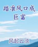 踏准风口成巨富