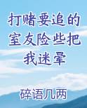打赌要追的室友险些把我迷晕小说全文免费阅读