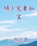 顾少宠妻如宝