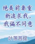 绝美前妻重新追求我，我偏不同意