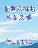 重案六组电视剧改编