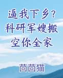 军嫂是科研大佬的小说