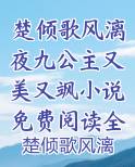 楚倾歌九公主风漓夜战神