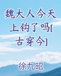 魏大人今天上钩了吗[古穿今]