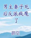 男主妻子死后反派疯魔了免费叶殳,陆