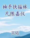 袖手扶摇林凡陈嘉仪最新更新内容