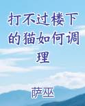 打不过楼下的猫如何调理