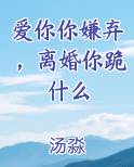 爱你你嫌弃，离婚你跪什么免费小说