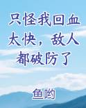 只怪我回血太快，敌人都破防了