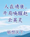 人在靖康，开局唤醒赵云英灵