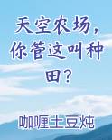 天空农场，你管这叫种田？最新章节免费阅读
