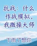 抗战：什么作战模拟，我微操大师