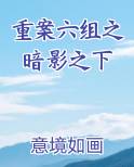 重案六组之暗影之下