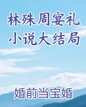 林殊周宴礼小说大结局