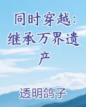 同时穿越：继承万界遗产