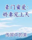 豪门蜜婚之娇妻万万岁免费阅读