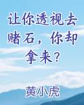 让你透视去赌石，你却拿来？