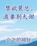 禁欲裴总，追妻别太甜