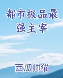 都市极品最强主宰