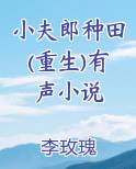 小夫郎种田(重生)有声小说