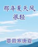 那年夏天的风太过温柔
