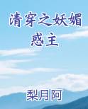 清穿之妖媚惑主TXT下载