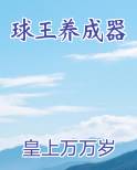球王养成器