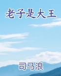 老子是大王女主角