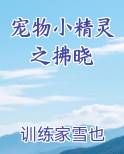 宠物小精灵之拂晓