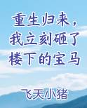 重生归来，我立刻砸了楼下的宝马小说免费阅读