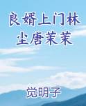 良婿上门林尘唐茉茉
