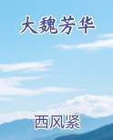 大魏芳华