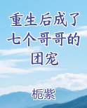 重生后成了七个哥哥的团宠